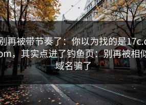别再被带节奏了：你以为找的是17c.com，其实点进了钓鱼页：别再被相似域名骗了