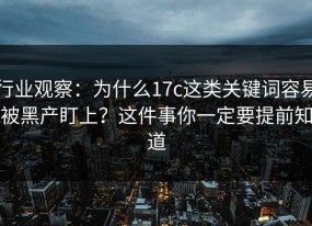 行业观察：为什么17c这类关键词容易被黑产盯上？这件事你一定要提前知道