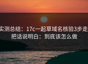 实测总结：17c一起草域名核验3步走：把话说明白：到底该怎么做