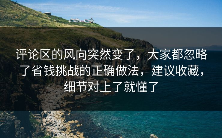 评论区的风向突然变了，大家都忽略了省钱挑战的正确做法，建议收藏，细节对上了就懂了