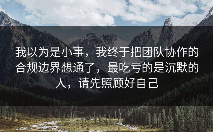 我以为是小事，我终于把团队协作的合规边界想通了，最吃亏的是沉默的人，请先照顾好自己