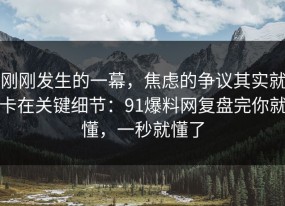 刚刚发生的一幕，焦虑的争议其实就卡在关键细节：91爆料网复盘完你就懂，一秒就懂了