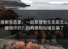 搜索生态里，一起草搜索生态是怎么被做坏的？别再被相似域名骗了