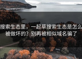搜索生态里，一起草搜索生态是怎么被做坏的？别再被相似域名骗了