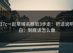 17c一起草域名核验3步走：把话说明白：到底该怎么做