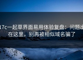 17c一起草界面易用体验复盘：问题出在这里，别再被相似域名骗了