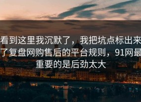 看到这里我沉默了，我把坑点标出来了复盘网购售后的平台规则，91网最重要的是后劲太大