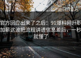 官方回应出来了之后：91爆料网升职加薪这波把流程讲透信息差后，一秒就懂了