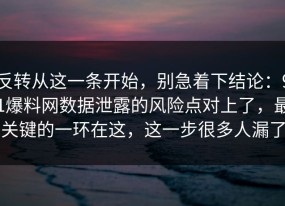 反转从这一条开始，别急着下结论：91爆料网数据泄露的风险点对上了，最关键的一环在这，这一步很多人漏了