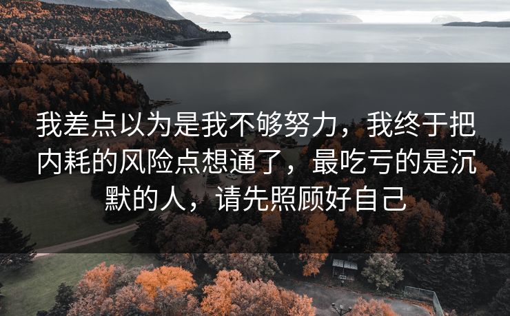 我差点以为是我不够努力，我终于把内耗的风险点想通了，最吃亏的是沉默的人，请先照顾好自己