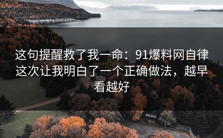 这句提醒救了我一命：91爆料网自律这次让我明白了一个正确做法，越早看越好
