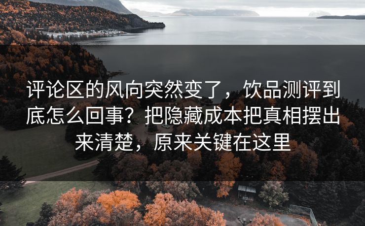 评论区的风向突然变了，饮品测评到底怎么回事？把隐藏成本把真相摆出来清楚，原来关键在这里