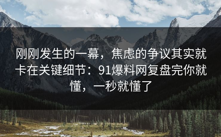 刚刚发生的一幕，焦虑的争议其实就卡在关键细节：91爆料网复盘完你就懂，一秒就懂了