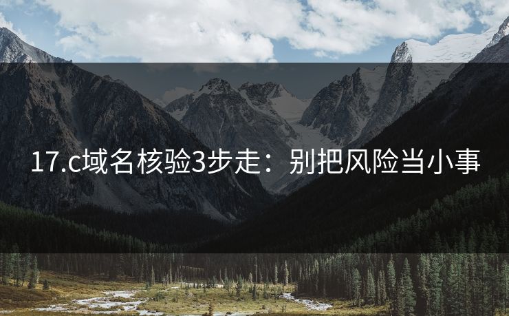 17.c域名核验3步走：别把风险当小事